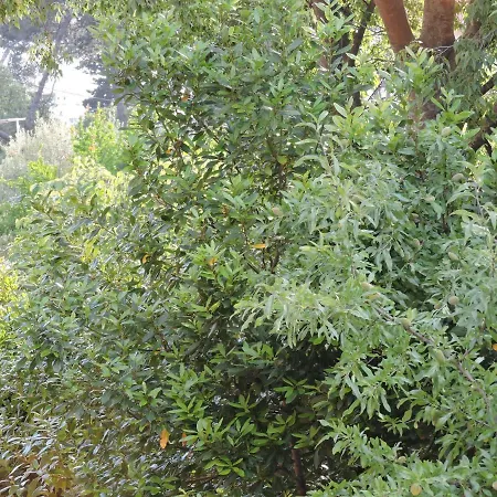 Perla Biograd Na Moru