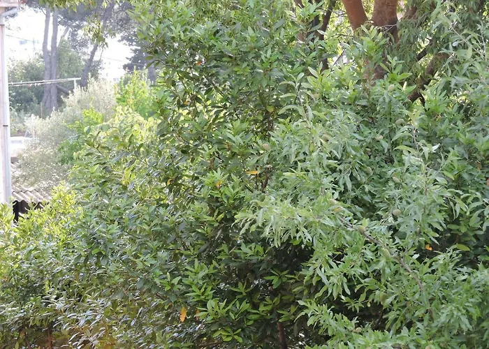 Perla Biograd Na Moru